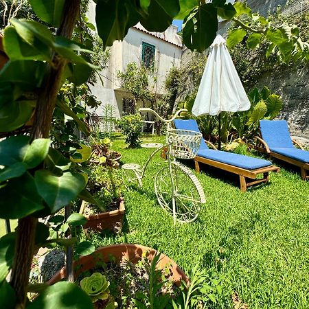 Gogas Amalfi Coast Apartamento Cetara Exterior foto